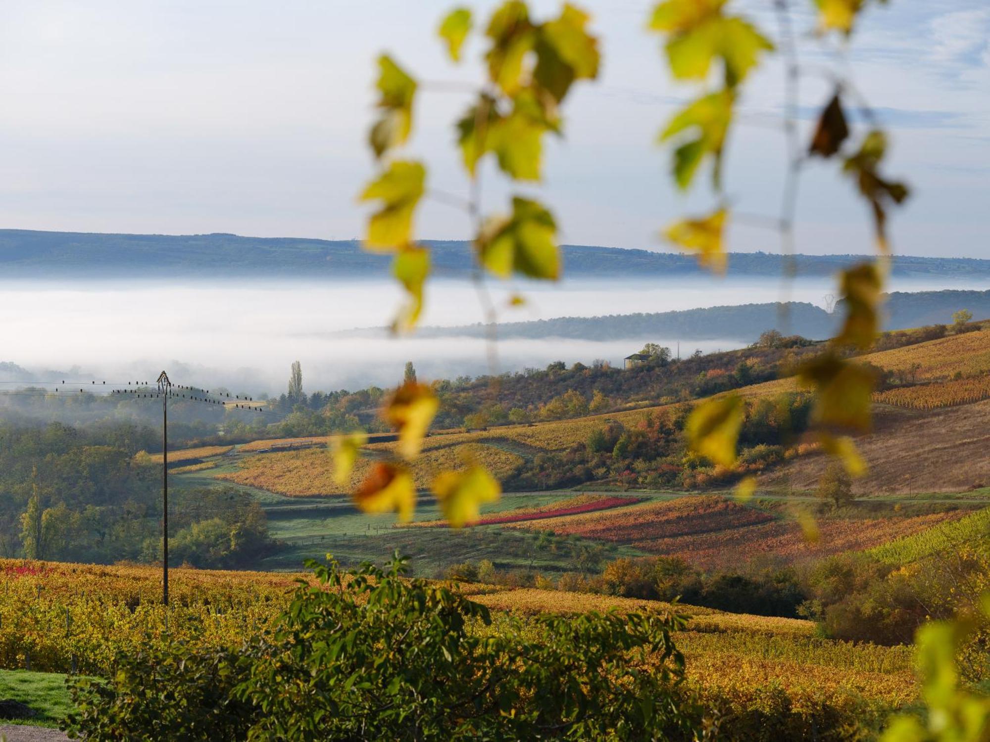 Bed and Breakfast Le Logis 46° / 4° Saint-Sernin-du-Plain Экстерьер фото