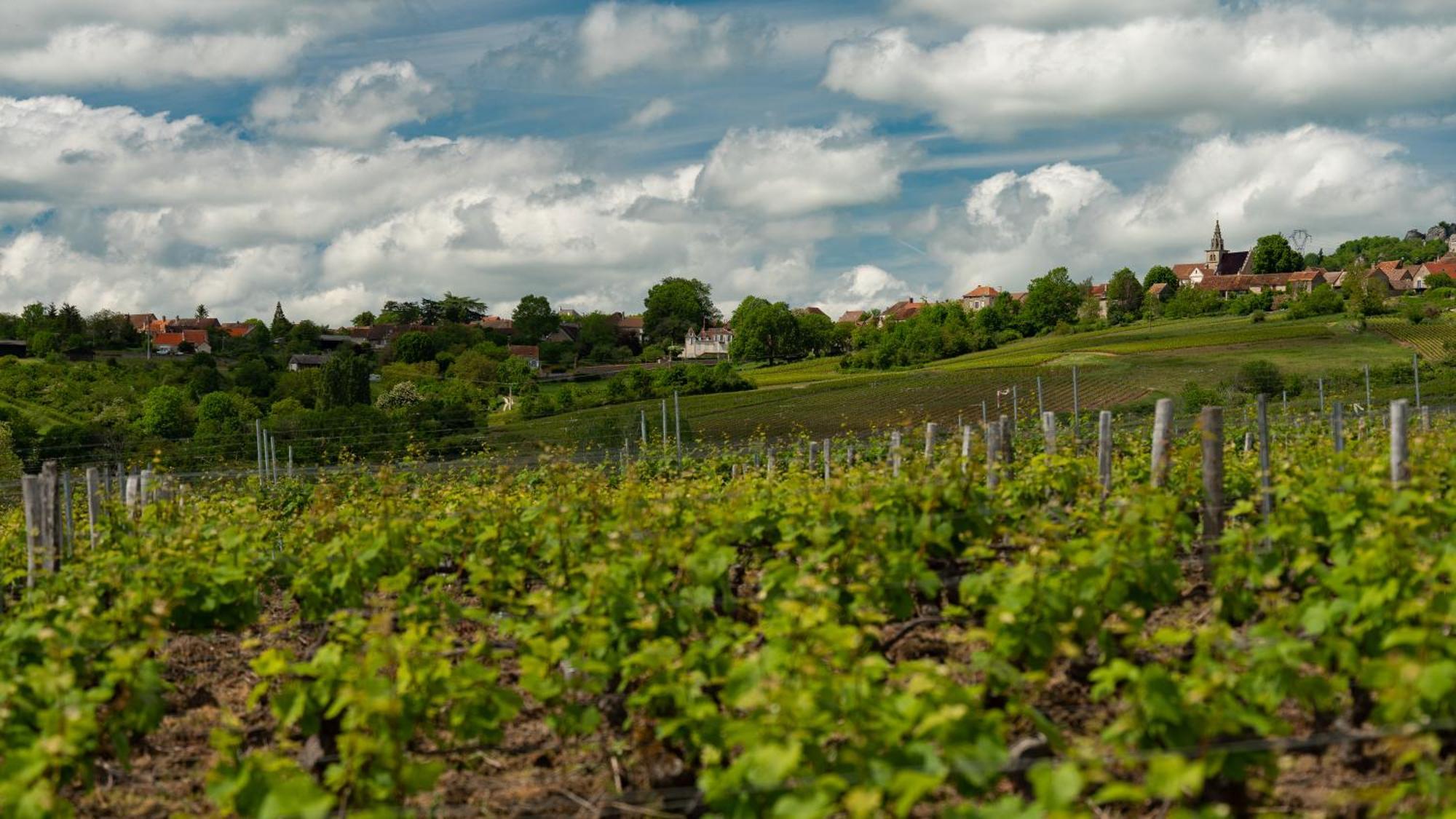 Bed and Breakfast Le Logis 46° / 4° Saint-Sernin-du-Plain Экстерьер фото